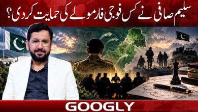 Which military formula did Saleem Safi support?