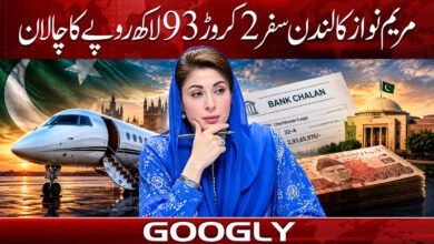 Maryam Nawaz's London trip: Challan of Rs 29.3 million