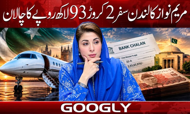 Maryam Nawaz's London trip: Challan of Rs 29.3 million