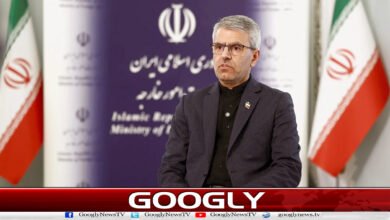 If America wants peace, it should stop interfering in the region: Iran