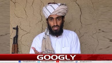 Is Osama's son Hamza bin Laden really alive?