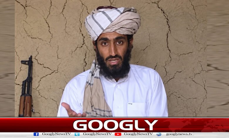 Is Osama's son Hamza bin Laden really alive?
