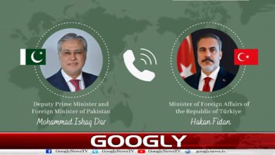 Ishaq Dar contacts Turkish Foreign Minister, discusses regional situation