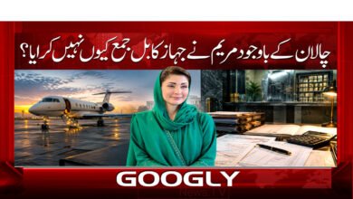 چالان کے باوجود مریم نے جہاز کا بل جمع کیوں نہیں کرایا؟ 5 10. چالان کے باوجود مریم نے جہاز . 1 1