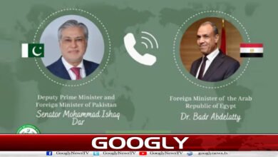 Ishaq Dar contacts Egyptian Foreign Minister, discusses regional situation