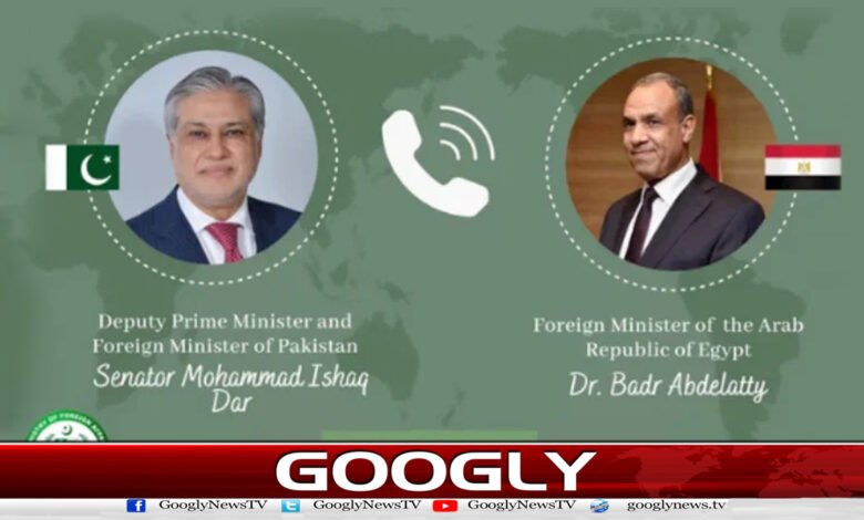 Ishaq Dar contacts Egyptian Foreign Minister, discusses regional situation