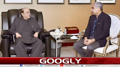 Mohsin Naqvi meets President Asif Ali Zardari in London