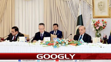 وزیراعظم کی ایشیائی ترقیاتی بینک کے نائب صدر سے ملاقات، معاشی اصلاحات اور ایم ایل ون پر گفتگو 2 Prime Minister meets Asian Development Bank Vice President, discusses economic reforms and ML-1