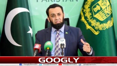 Peace in Afghanistan can increase the prospects for development in the region: Federal Information Minister