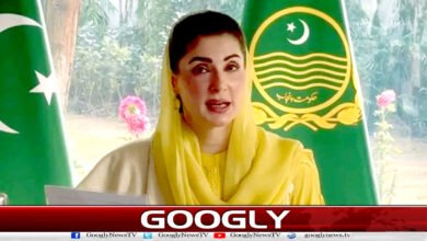 Punjab government launches grand operation against corruption, secret cell established, arrests begin