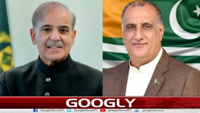 Prime Minister Shehbaz Sharif congratulates Dr. Najeeb on being elected President of Azad Kashmir