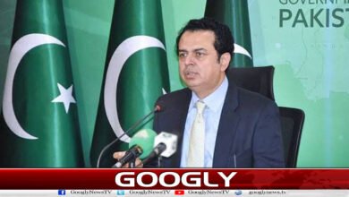 Afghan soil is being used for terrorism in Pakistan: Talal Chaudhry