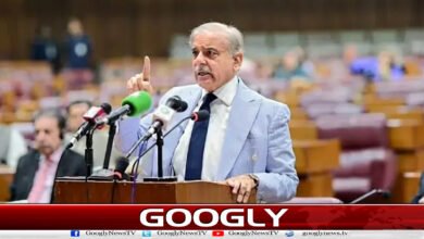 وزیراعظم نے آٹو پالیسی 2026 کی منظوری دے دی 5 Prime Minister approves Auto Policy 2026