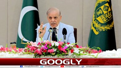 Prime Minister condemns Houthi attack on Saudi Arabia