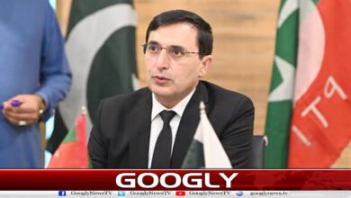 کشیدگی کم کی جائے، حالات کو مزید بگڑنے سے روکا جائے: بیرسٹر گوہر 5 Tensions should be reduced, and the situation prevented from deteriorating further: Barrister Gohar
