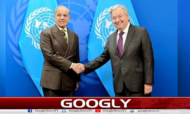 14. اقوام متحدہ کا عالمی امن کےلیے پاکستان ک. . . . . .