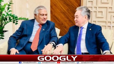 اسحاق ڈار کی کرغزستان کے وزیر خارجہ سے ملاقات، دوطرفہ تعلقات بڑھانے پر اتفاق 5 Ishaq Dar meets Kyrgyzstan's Foreign Minister, agrees to enhance bilateral relations