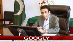 پاکستان دھرتی ماں ہے، جو ناقابل تقسیم ہے، باقی سب انتظامی یونٹس ہیں : خالد مقبول صدیقی