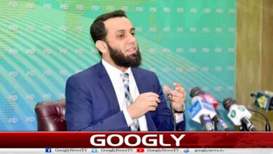 Airstrikes carried out at 10 locations in Afghanistan: Federal Information Minister