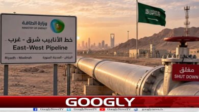 Saudi Arabia halts crude oil supplies to Europe after Iraqi drone attacks