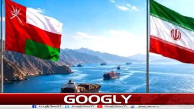 Iran, Oman agree on shipping routes in Strait of Hormuz