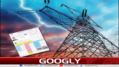 Zero relief for domestic consumers despite introduction of new electricity system