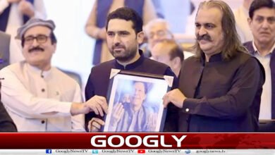سہیل آفریدی بھی گنڈا پور کی طرح تماش بینیوں پر اتر آئے 5 Sohail Afridi also came down to the audience like Gandapur.