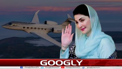 My plane, my will, Maryam Nawaz's response to critics