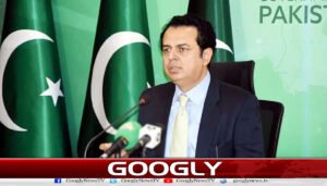 پیپلز پارٹی نئے صوبوں پر اکیلے فیصلہ نہیں کرسکتی : طلال چوہدری