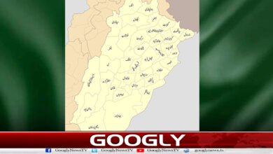 پنجابی سیاستدان نئے صوبوں کی تجویز پر خاموش کیوں؟ 5 Why are Punjabi politicians silent on the proposal for new provinces?
