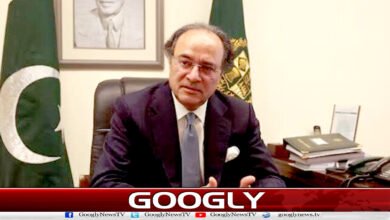 حکومت اور نجی شعبے کے درمیان شراکت داری مزید مضبوط بنانا ہوگی: وفاقی وزیر خزانہ 5 Partnership between government and private sector must be further strengthened: Federal Finance Minister