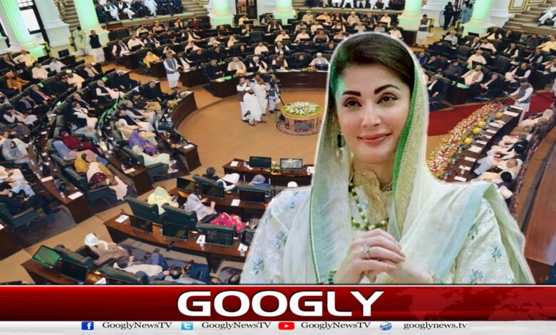 Khyber Pakhtunkhwa Assembly: Resolution passed for action against Maryam Nawaz under Article 6