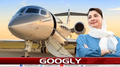 مریم نواز نے اپنی غلطی کے دفاع میں بلنڈر کیسے کیا؟ 2 How did Maryam Nawaz commit a blunder while defending her mistake?