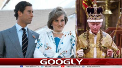ڈیانا کی موت سے شہزادہ چارلس کی کونسی لاٹری نکلی؟ 2 What stroke of luck did Prince Charles get from Diana's death?