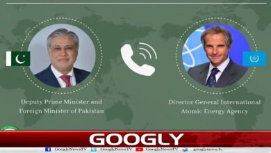 Ishaq Dar talks to IAEA chief, discusses regional situation