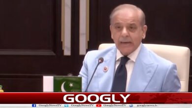 Pakistan played an effective role for peace during regional crisis: Prime Minister