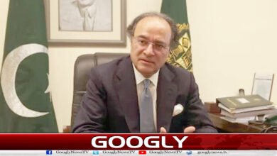 Pakistan has raised $3 billion through Eurobonds: Federal Finance Minister