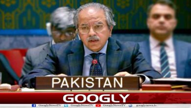 Houthi attacks pose serious threats to regional peace and stability: Pakistan