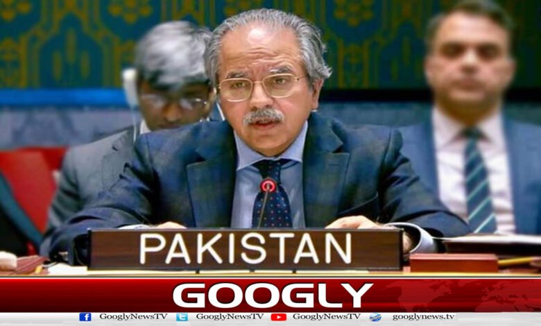 حوثی حملوں سے علاقائی امن و استحکام کو سنگین خطرات لاحق ہیں : پاکستان 1 Houthi attacks pose serious threats to regional peace and stability: Pakistan