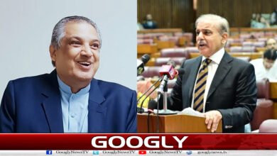 سہیل وڑائچ کا شہباز حکومت کے دن پورے ہونے کا دعوی 5 Sohail Warraich claims that the days of the Shahbaz government are over.