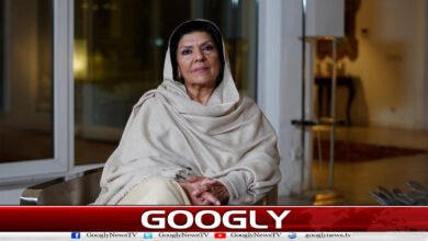 Aleema Khan's arrest is a major blow to the protest movement.