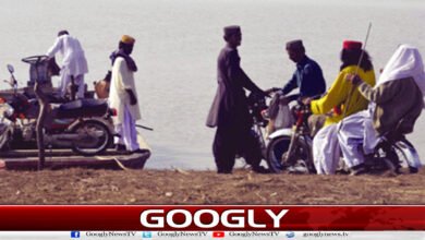 How was the network of robbers broken in Sindh?