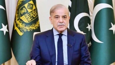 مسئلہ کشمیر حل کیے بغیر جنوبی ایشیا میں حقیقی اور دیرپا امن ممکن نہیں: وزیراعظم 5 971532 12788541