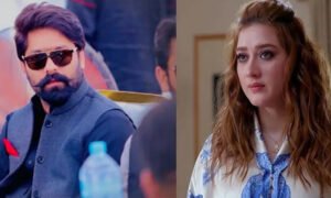 مومنہ اقبال اور ثاقب چدھڑ تنازع میں نیا موڑ، ن لیگی رکن اسمبلی نے نئے انکشافات کردیے