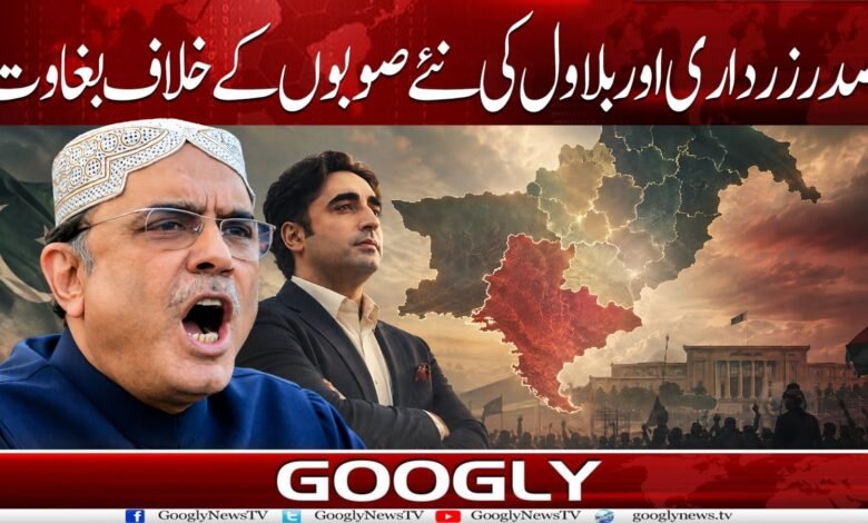 WhatsApp Image 2026 09 04 at 16.30.50