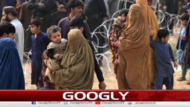 Pakistan categorically refuses to restore visas for Afghan citizens