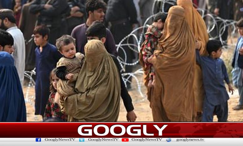 پاکستان کاافغان شہریوں کیلئےویزوں کی بحالی سے صاف انکار 1 Pakistan categorically refuses to restore visas for Afghan citizens