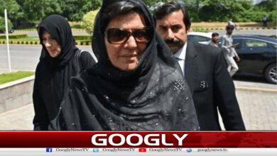 Lahore High Court orders to provide facilities to Aleema Khan in jail