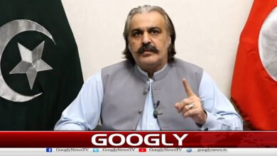Changing the date of the long march led to a party, Ali Amin Gandapur