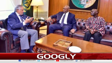 UN Secretary-General candidate meets Ishaq Dar